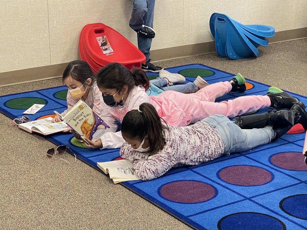 Students reading in the library
