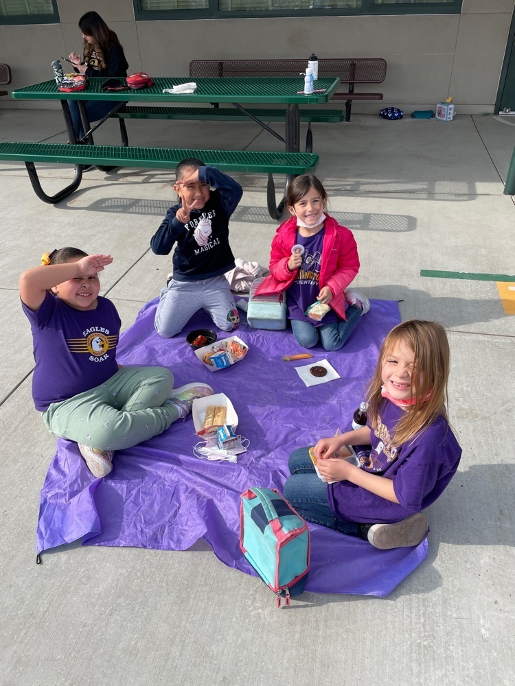 Students are enjoying picnic day.