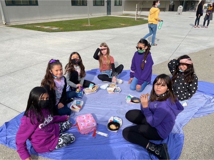 Students are enjoying picnic day.