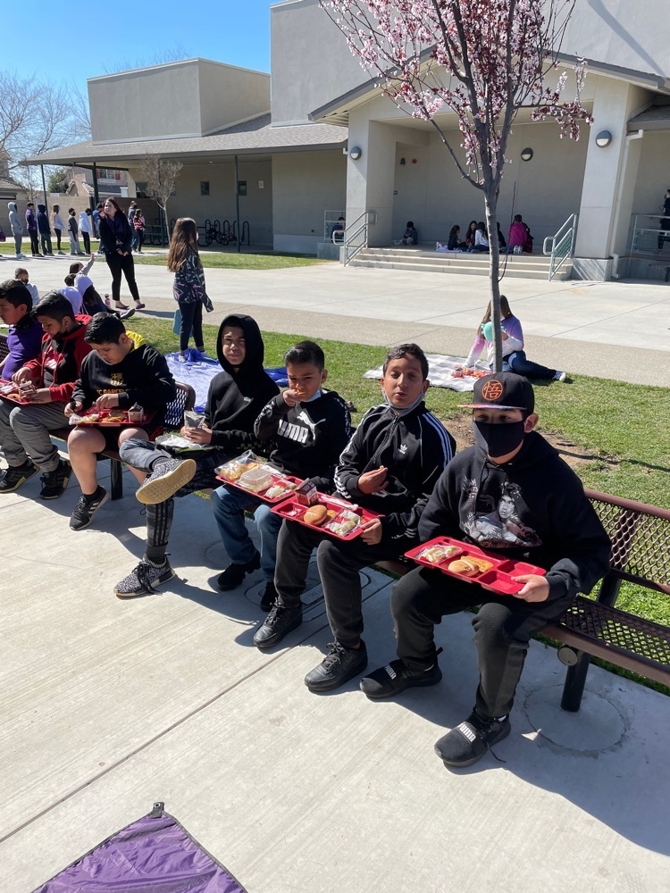 students eating lunch outside 