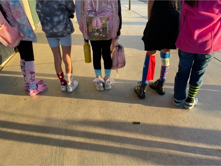 crazy socks