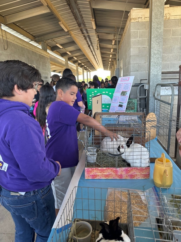 Ag Day